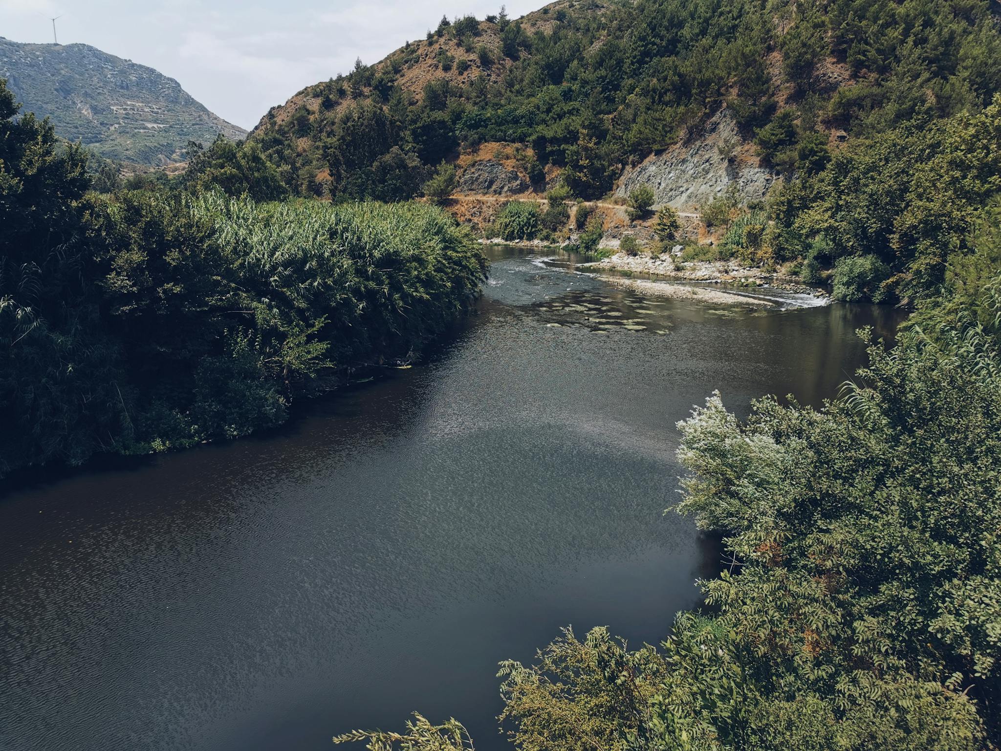 Explore a tranquil river bend nestled in lush greenery, capturing nature's peaceful beauty.